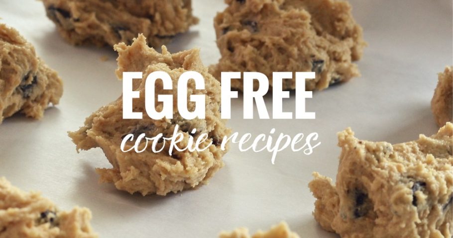 egg-free-cookie-recipes-lil-allergy-advocates