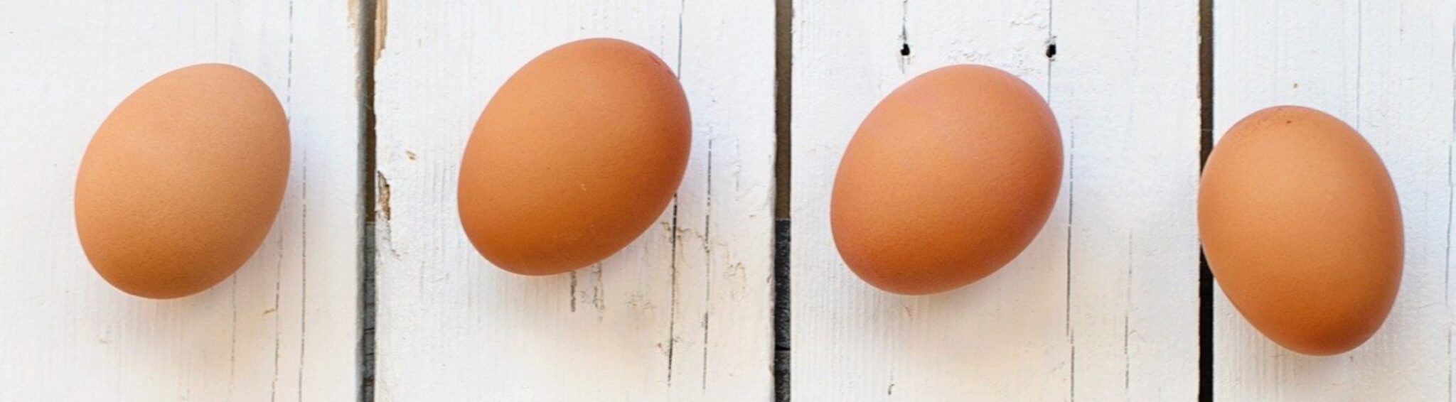 Substitutes for Eggs Lil Allergy Advocates