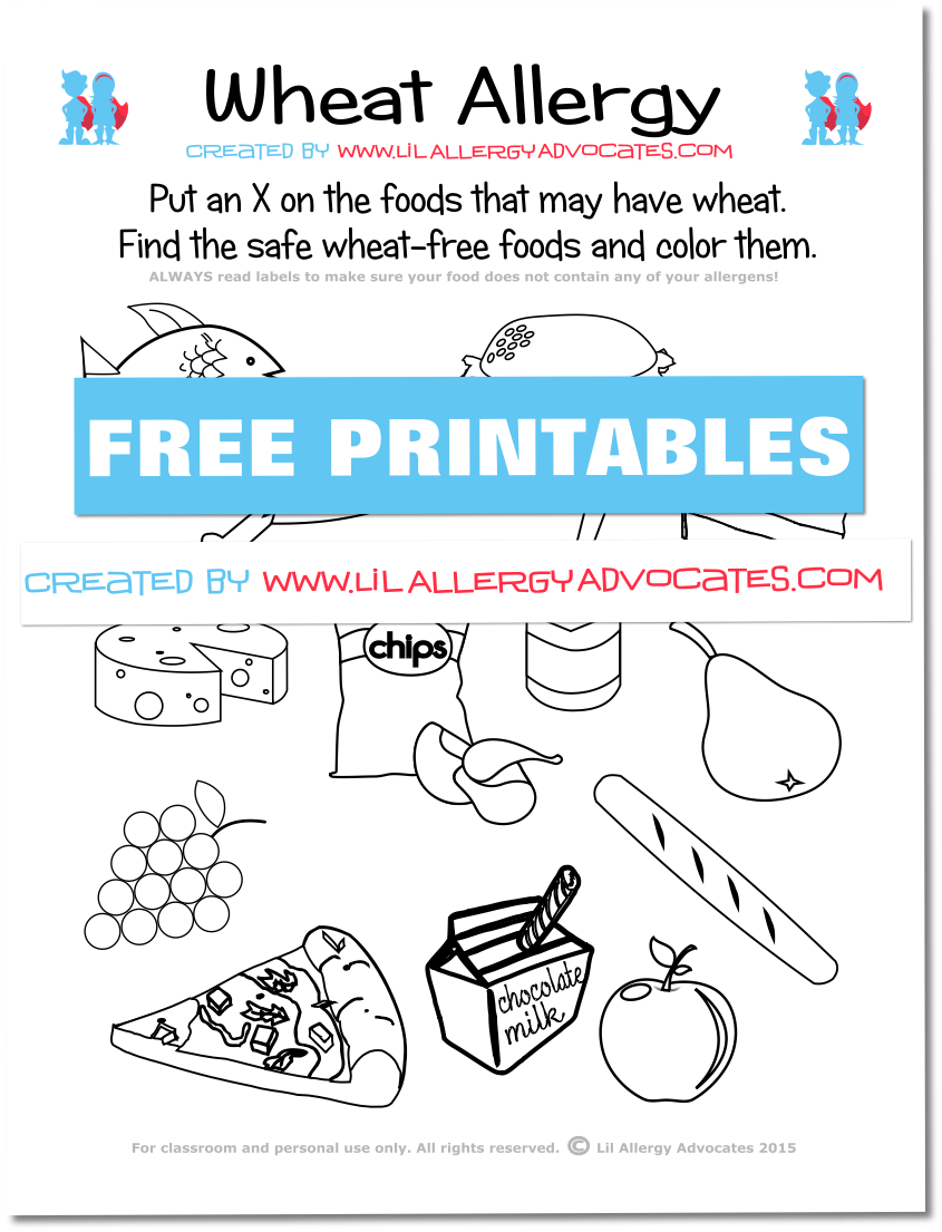 Food Allergy Match and Identify Printables